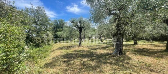 Grundstück in Villanova d'Albenga, Italy 1100m², Nr. 260087 8