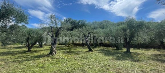 Grundstück in Villanova d'Albenga, Italy 1100m², Nr. 260087 10