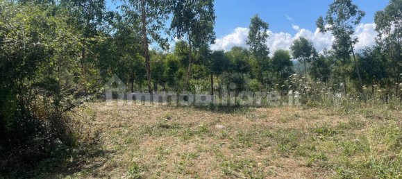 Grundstück in Villanova d'Albenga, Italy 1100m², Nr. 260087 4