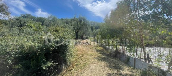 Grundstück in Villanova d'Albenga, Italy 1100m², Nr. 260087 5