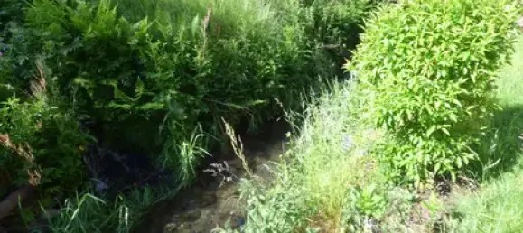 6-Zimmer Haus in Ilm-Kreis, Germany, Nr. 83510 5