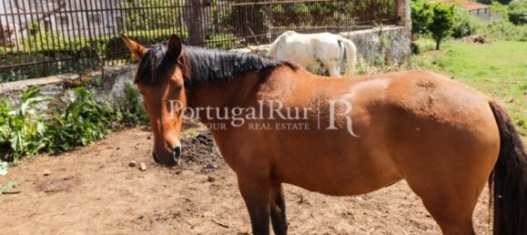 10 bedrooms Land in Vila Franca de Xira, Portugal No. 134645 28