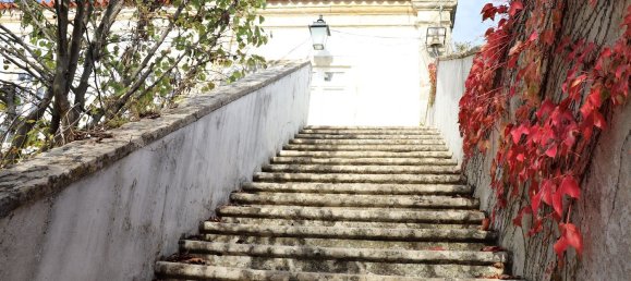 20 Schlafzimmer Haus in Tomar, Portugal, Nr. 53358 10