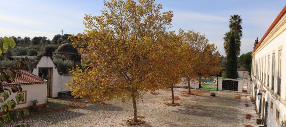 20 Schlafzimmer Haus in Tomar, Portugal, Nr. 53358 9