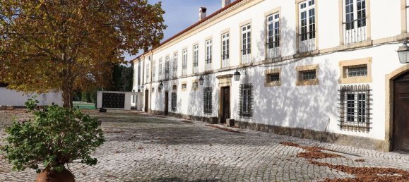 20 Schlafzimmer Haus in Tomar, Portugal, Nr. 53358 3