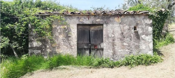 35m² Land in Penna in Teverina, Italy No. 107952 9