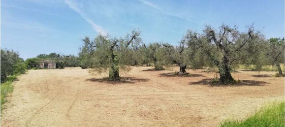 35m² Land in Penna in Teverina, Italy No. 107952 6