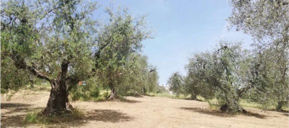 35m² Land in Penna in Teverina, Italy No. 107952 12