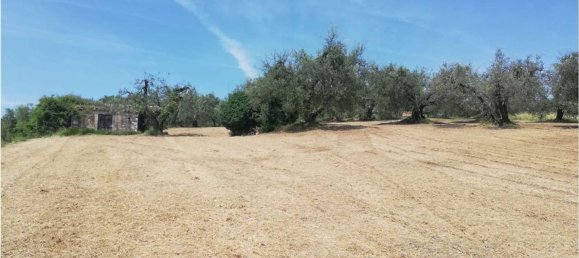35m² Land in Penna in Teverina, Italy No. 107952 14