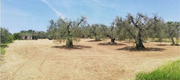 35m² Land in Penna in Teverina, Italy No. 107952 8