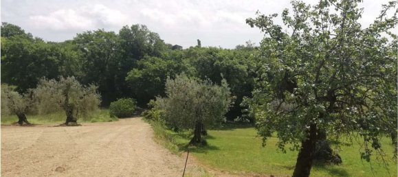35m² Land in Penna in Teverina, Italy No. 107952 7