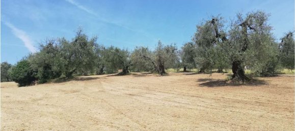 35m² Land in Penna in Teverina, Italy No. 107952 3