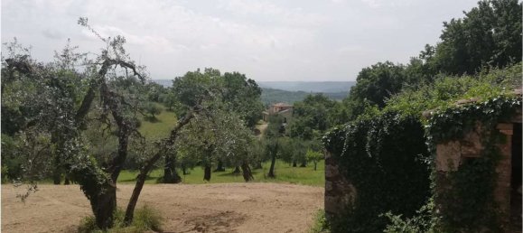 35m² Land in Penna in Teverina, Italy No. 107952 5