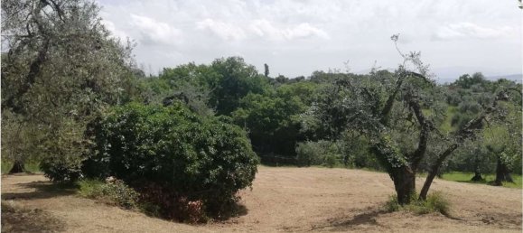 35m² Land in Penna in Teverina, Italy No. 107952 13