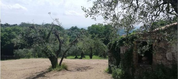 35m² Land in Penna in Teverina, Italy No. 107952 2