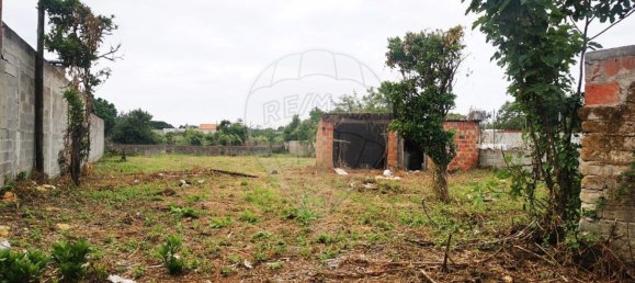 2 Schlafzimmer Haus in Tocha, Portugal, Nr. 25892 9