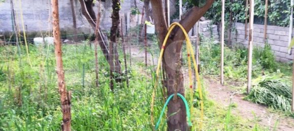 6 rooms House in Cellole, Italy No. 32917 14