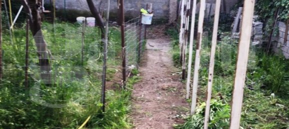 6 rooms House in Cellole, Italy No. 32917 15