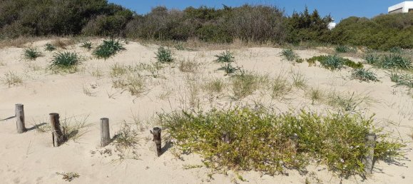 Земельный участок 1100м² в Кастелланета, Италия № 171559 5