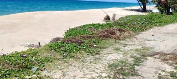 3084m² Commercial property in Tha Muang, Thailand No. 8285 4