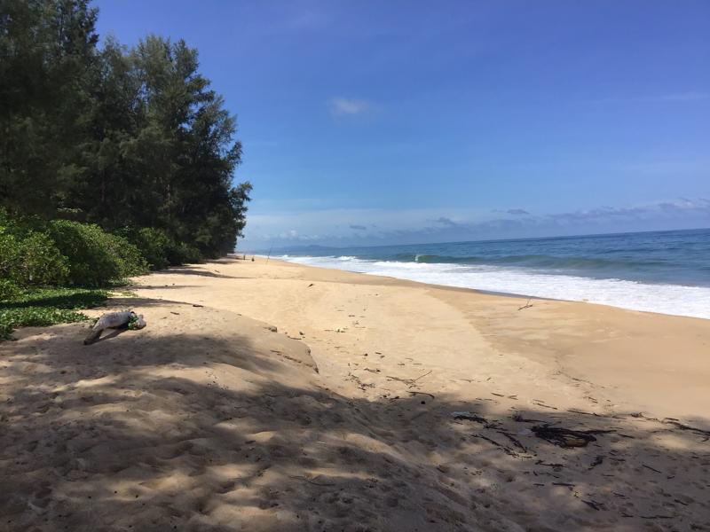 3084m² Commercial property in Tha Muang, Thailand No. 8285