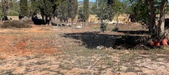 12 Schlafzimmer Haus in Almancil, Portugal, Nr. 38087 26