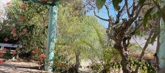 12 Schlafzimmer Haus in Almancil, Portugal, Nr. 38087 3