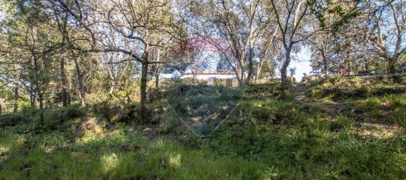 4 Schlafzimmer Haus in Midoes, Portugal, Nr. 88587 30