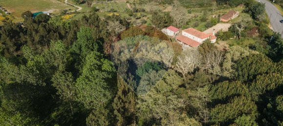 4 Schlafzimmer Haus in Midoes, Portugal, Nr. 88587 7
