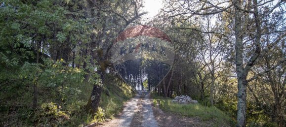 4 Schlafzimmer Haus in Midoes, Portugal, Nr. 88587 18