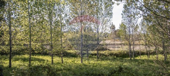 4 Schlafzimmer Haus in Midoes, Portugal, Nr. 88587 33