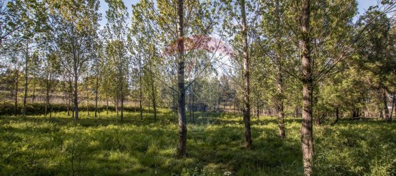 4 Schlafzimmer Haus in Midoes, Portugal, Nr. 88587 31
