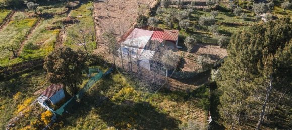 4 Schlafzimmer Haus in Midoes, Portugal, Nr. 88587 5