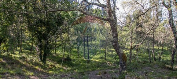 4 Schlafzimmer Haus in Midoes, Portugal, Nr. 88587 26