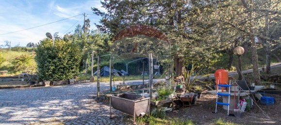 4 Schlafzimmer Haus in Midoes, Portugal, Nr. 88587 24