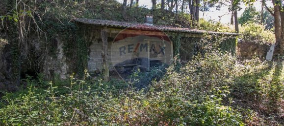 4 Schlafzimmer Haus in Midoes, Portugal, Nr. 88587 32