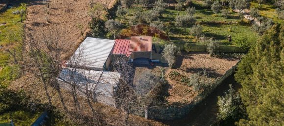 4 Schlafzimmer Haus in Midoes, Portugal, Nr. 88587 6