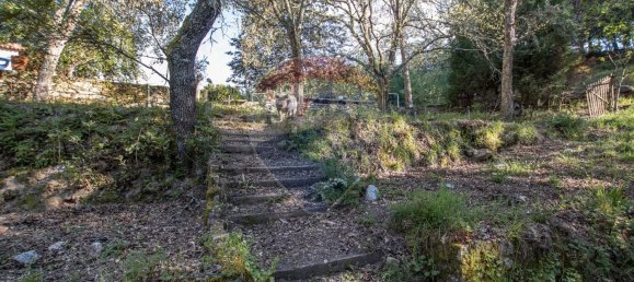 4 Schlafzimmer Haus in Midoes, Portugal, Nr. 88587 29