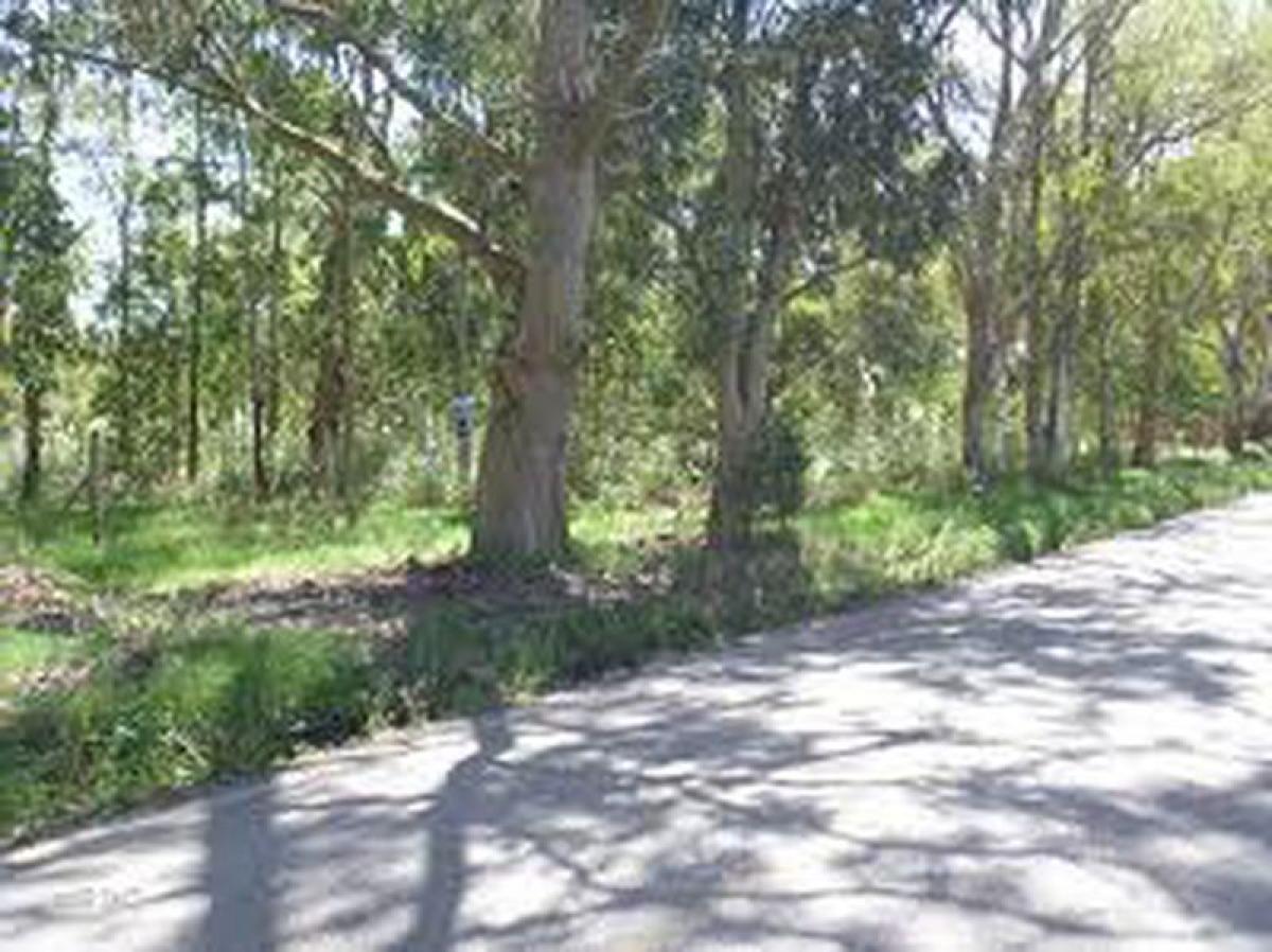 Grundstück in Maldonado, Uruguay, Nr. 14700