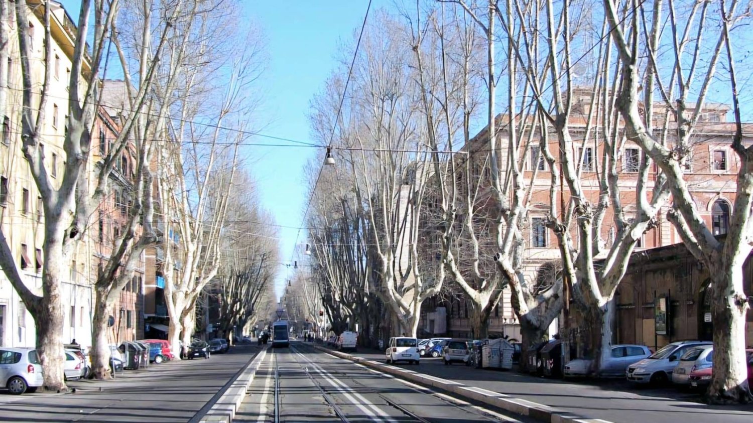 5-Zimmer Gewerbliche Immobilie in Rome, Italy, Nr. 93827