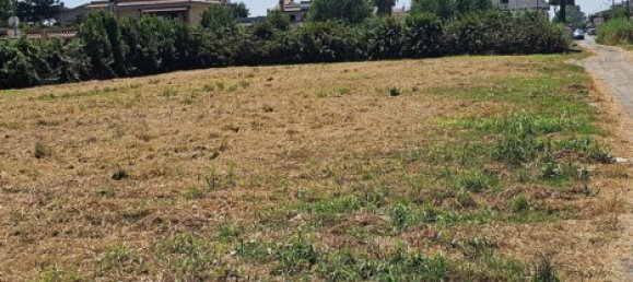 5079m² Land in Fiumicino, Italy No. 309734 4