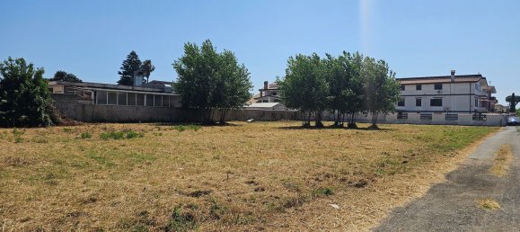 5079m² Land in Fiumicino, Italy No. 309734 3