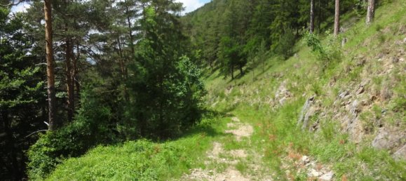  Land in Raach am Hochgebirge, Austria No. 134139 5