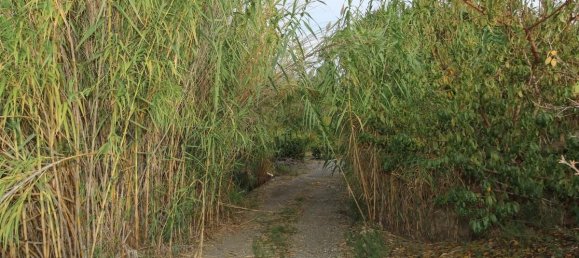 Grundstück in Coin, Spain 400m², Nr. 148746 26