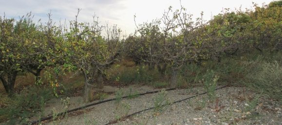 Grundstück in Coin, Spain 400m², Nr. 148746 31