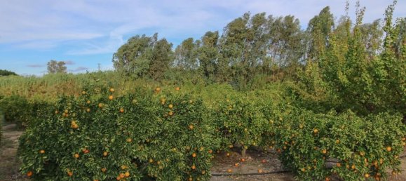 Grundstück in Coin, Spain 400m², Nr. 148746 16