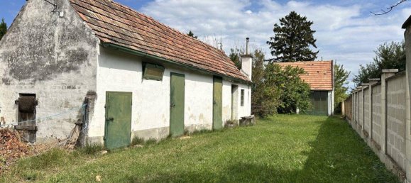 Casa de 3 habitaciónes en Klingenbach, Austria No. 242820 18