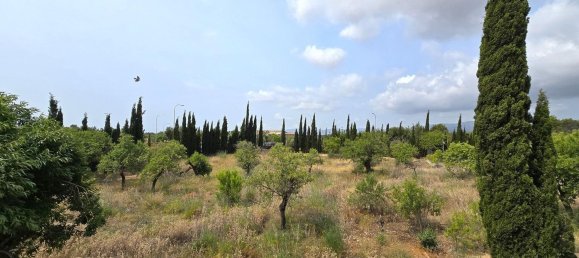 Casa T4 em Bunyola, Spain N.º 153589 31