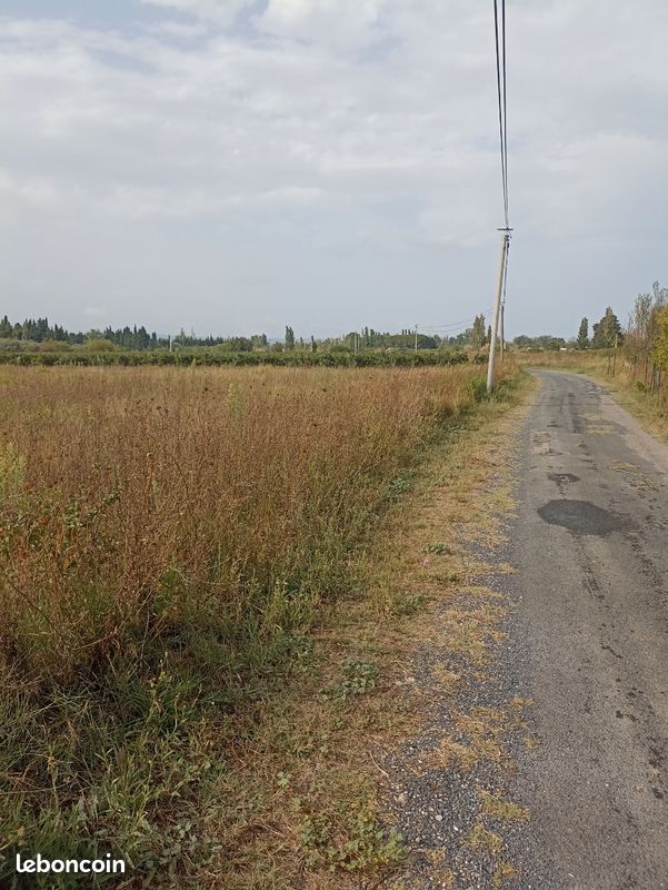 Terrain à Pyrénées-Orientales, France No. 342105