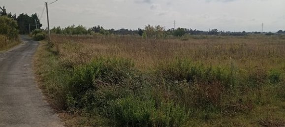 Terrain à Pyrénées-Orientales, France No. 342105 2